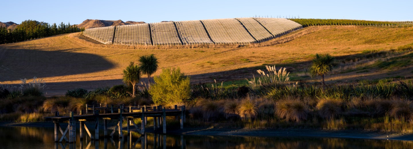 Pyramid Valley